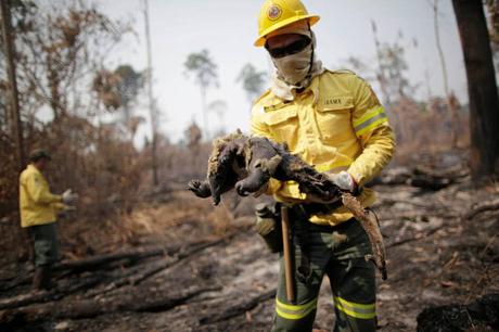 Brésil : Bolsonaro qualifie de «mensonge» les incendies de forêt en Amazonie