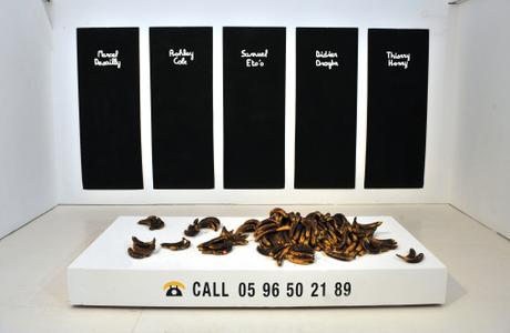 Jean François Boclé Banana project Photo Gérard Germain pour Fondation Clément