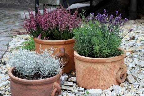 Plantes extérieures : pourquoi favoriser les pots en terre cuite ?