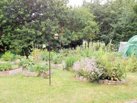 Aménager son jardin : une structure de base puis un aménagement progressif