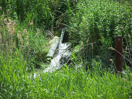 Vivons en harmonie avec la nature car elle fait partie de nous
