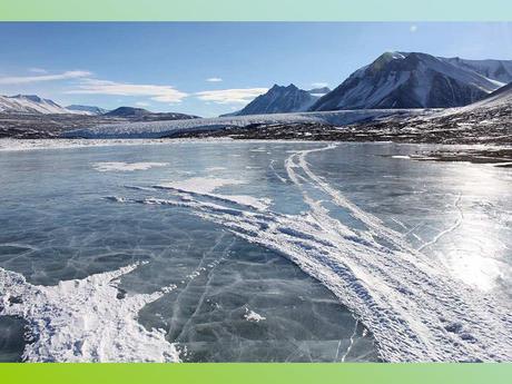 Pays Etranger- L'Antarctitique