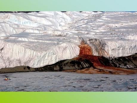 Pays Etranger- L'Antarctitique