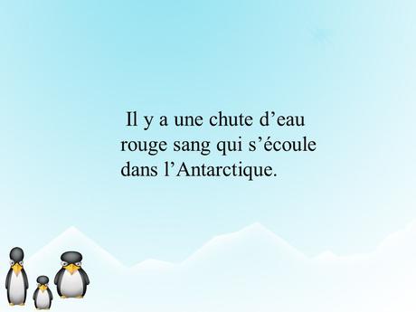 Pays Etranger- L'Antarctitique