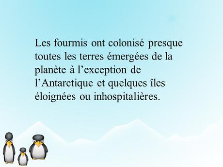 Pays Etranger- L'Antarctitique