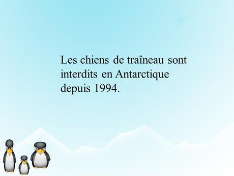 Pays Etranger- L'Antarctitique