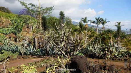 La France - Ile de la Réunion
