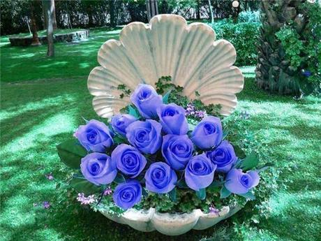 Divers - Quelques fleurs