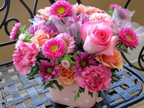 Divers - Quelques fleurs