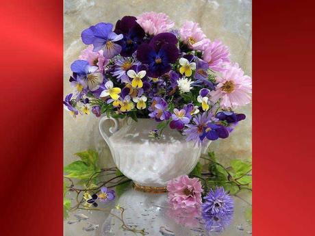 Divers - Quelques fleurs