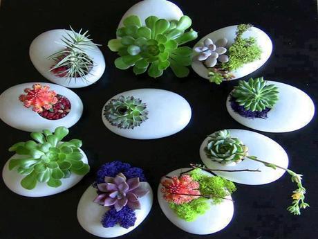 Divers - Quelques fleurs