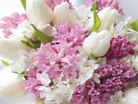 Divers - Quelques fleurs