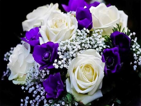 Divers - Quelques fleurs