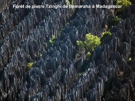 Divers - Photos de Yann Arthus-Bertrand - 3