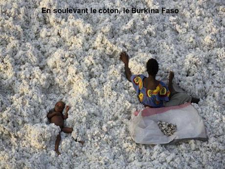 Divers - Photos de Yann Arthus-Bertrand - 3