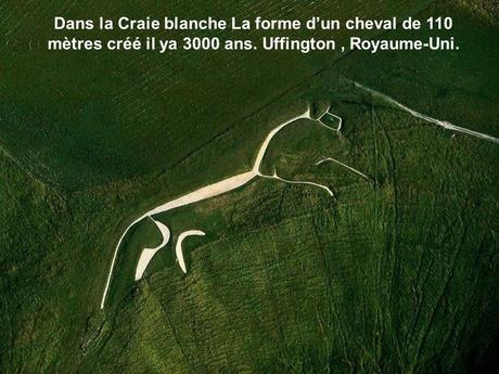 Divers - Photos de Yann Arthus-Bertrand - 3