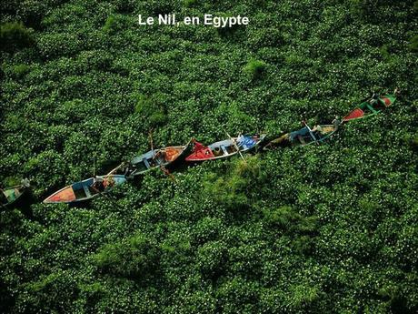 Divers - Photos de Yann Arthus-Bertrand - 3