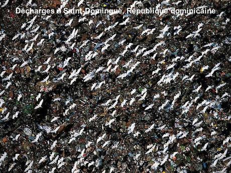 Divers - Photos de Yann Arthus-Bertrand - 3