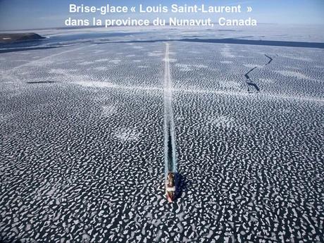 Divers - Photos de Yann Arthus-Bertrand - 2