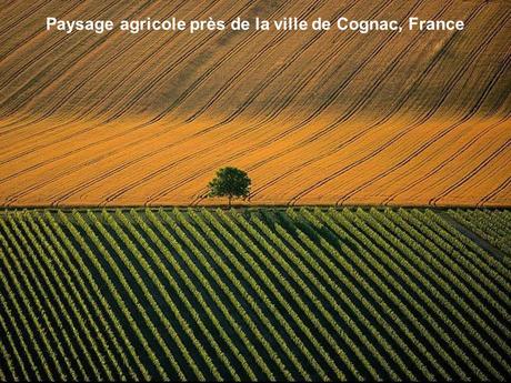 Divers - Photos de Yann Arthus-Bertrand - 2