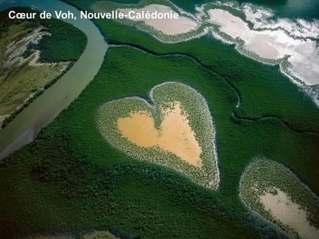Divers - Photos de Yann Arthus-Bertrand - 1