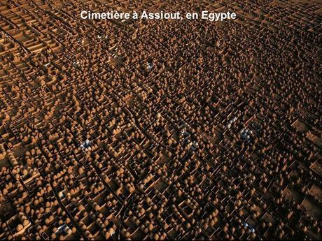 Divers - Photos de Yann Arthus-Bertrand - 1