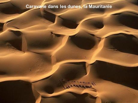 Divers - Photos de Yann Arthus-Bertrand - 1