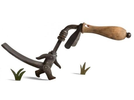 Divers - Imagination fertile