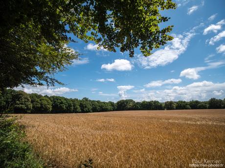 nuit à la #chapelle ND de Tréguron #Gouézec #Bretagne #Finistère nuit à la #chapelle ND de Tréguron #Gouézec #Bretagne #Finistère