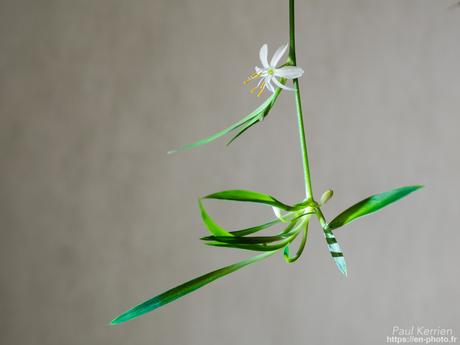 nuit à la #chapelle ND de Tréguron #Gouézec #Bretagne #Finistère nuit à la #chapelle ND de Tréguron #Gouézec #Bretagne #Finistère