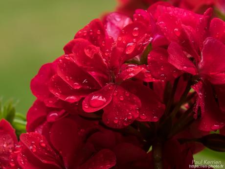nuit à la #chapelle ND de Tréguron #Gouézec #Bretagne #Finistère nuit à la #chapelle ND de Tréguron #Gouézec #Bretagne #Finistère