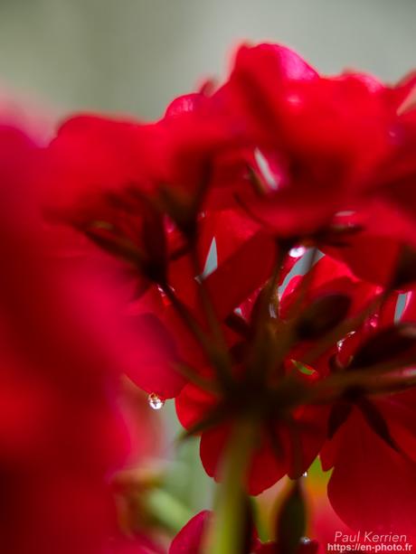 nuit à la #chapelle ND de Tréguron #Gouézec #Bretagne #Finistère nuit à la #chapelle ND de Tréguron #Gouézec #Bretagne #Finistère