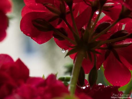 aube à la pointe de Sainte-Marine #Combrit #Bretagne #Finistère
