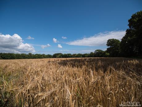 la comète au dessus du menhir à #Loctudy #Bretagne #Finistère