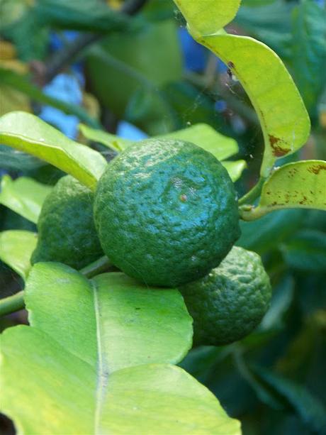 where will it lead us from here?