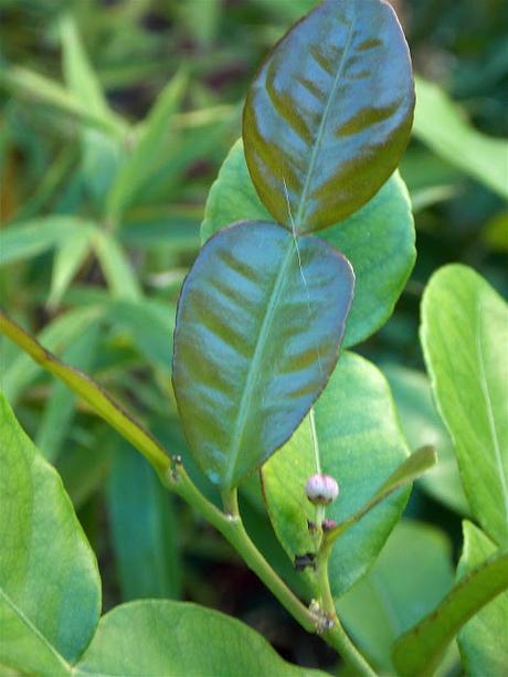 where will it lead us from here?