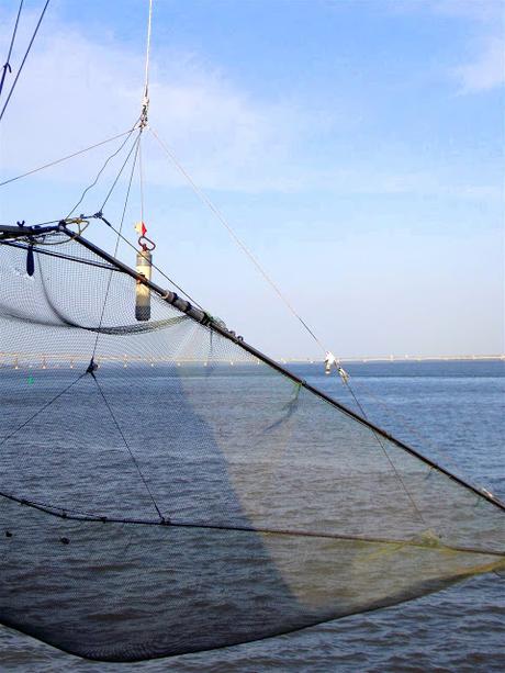 where will it lead us from here?