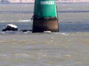 couramment déplacé