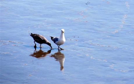 sans fuite, sans orgueil