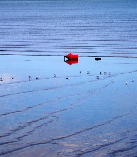 sans fuite, sans orgueil