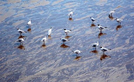 sans fuite, sans orgueil