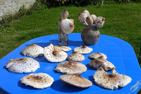 sans fuite, sans orgueil