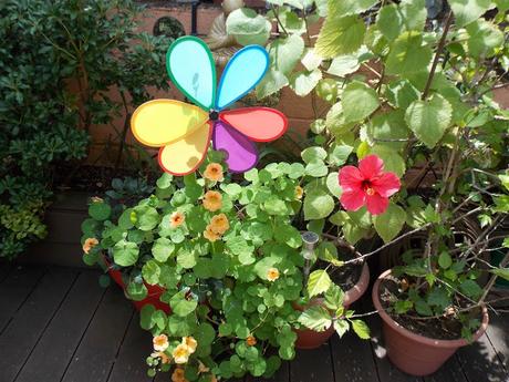 sans fuite, sans orgueil