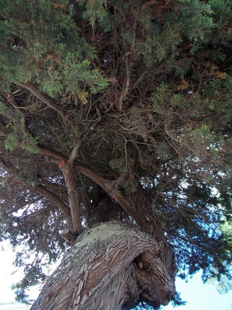 sans fuite, sans orgueil