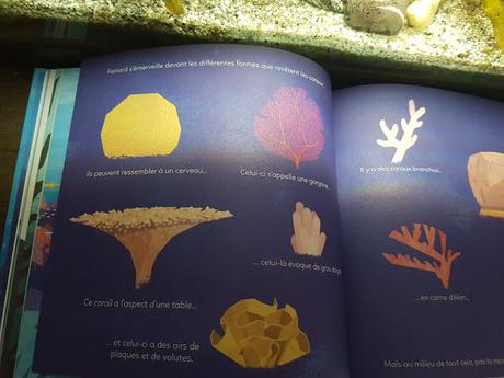 Le constellis des profondeurs de Benjamin Flouw - La Pastèque ♥ ♥ ♥