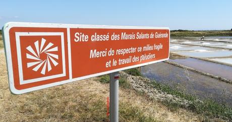 Projet 52-2020 #32 – Au bord de l’eau