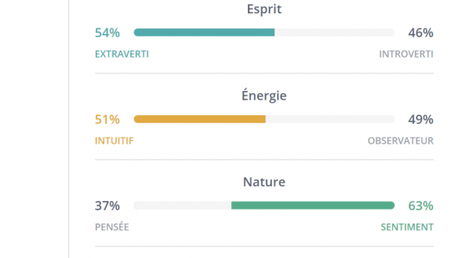 MBTI : Comment accroître son bien-être en comprenant son cerveau ?