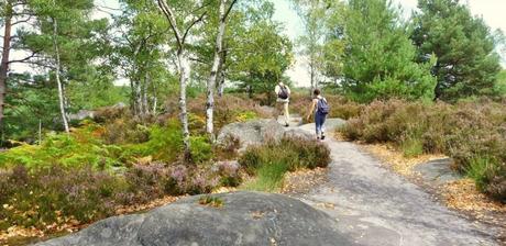 Fontainebleau en famille: château et forêt