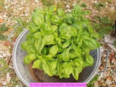 Gâteau-crème salé aux olives (Vegan)