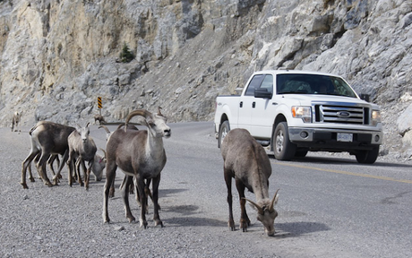 707_ Surles traces de... (7 et fin)